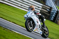PJ-Motorsport-2019;anglesey;brands-hatch;cadwell-park;croft;donington-park;enduro-digital-images;event-digital-images;eventdigitalimages;mallory;no-limits;oulton-park;peter-wileman-photography;racing-digital-images;silverstone;snetterton;trackday-digital-images;trackday-photos;vmcc-banbury-run;welsh-2-day-enduro